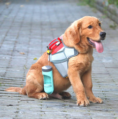 Portable Pet Water Bottle for Outdoor Use (Teddy)